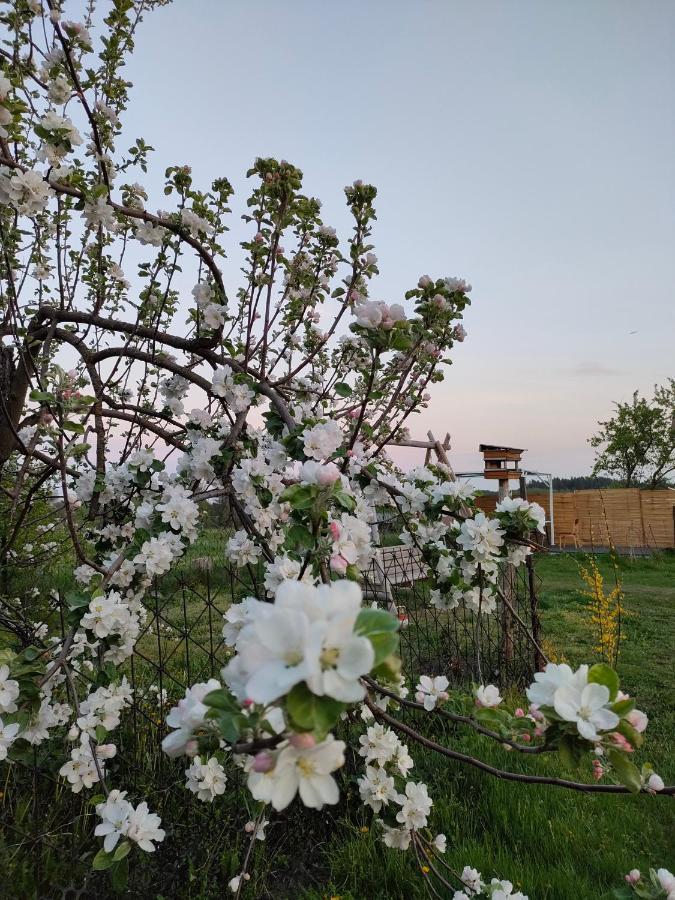 Gosciniec Villa Koden Buitenkant foto